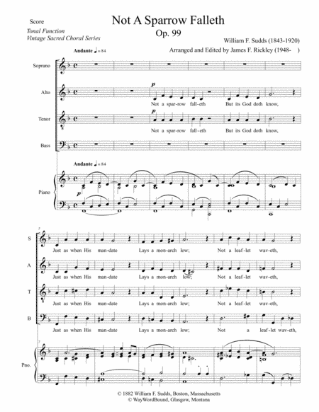Not A Sparrow Falleth (arr. James F. Rickley)
