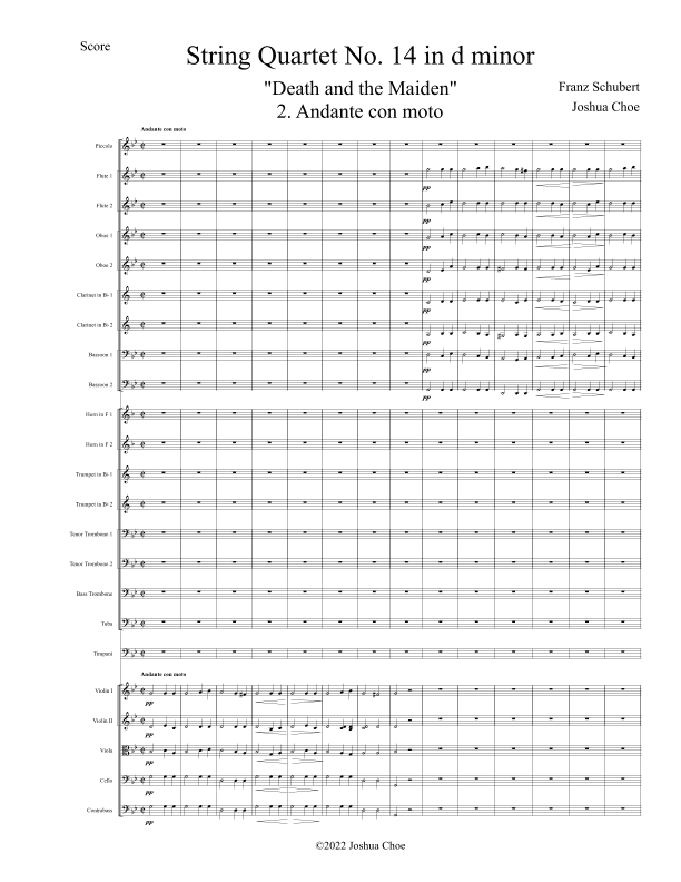 "Death and the Maiden" Quartet, Movement 2 (arr. Joshua Choe)
