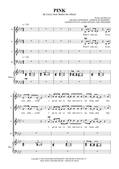 Pink (arr. SCMusic)