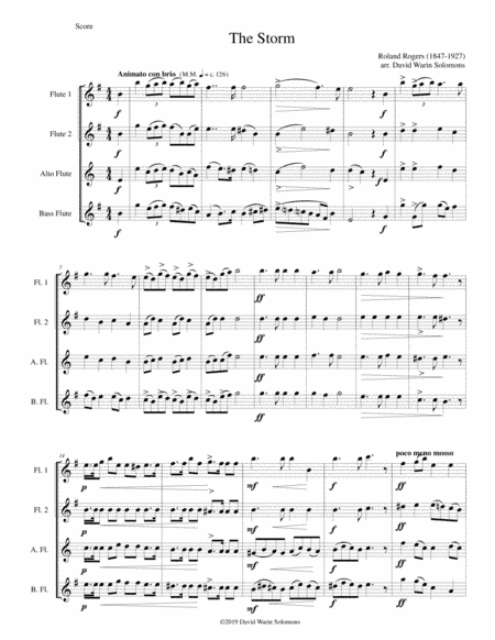 The Storm arranged for flute quartet (arr. David Warin Solomons)