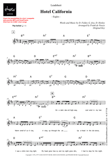 Hotel California (arr. Frank de Vreeze)
