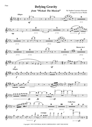 Defying Gravity (arr. Lucas Waldin)