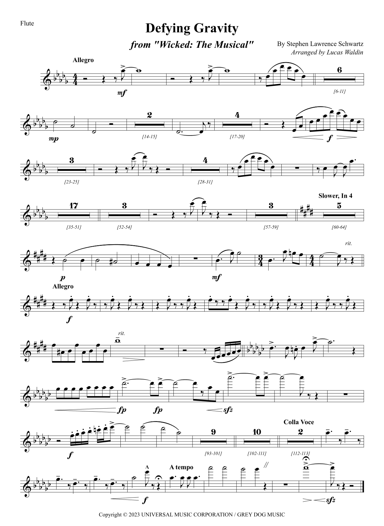 Defying Gravity (arr. Lucas Waldin)