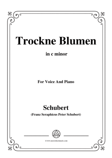 Schubert-Trockne Blumen,from 'Die Schöne Müllerin',Op.25 No.18,in c minor,for Voice&Piano (arr. MSM)