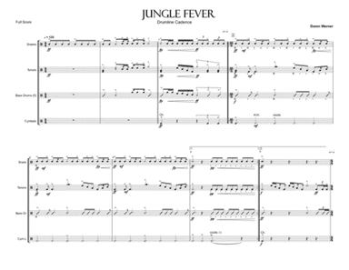 Jungle Fever - Drumline Cadence