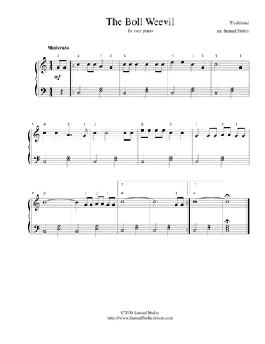 The Boll Weevil - for easy piano (arr. Samuel Stokes)