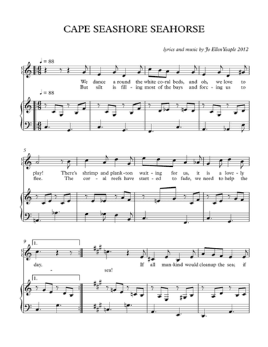 Cape Seashore Seahorse