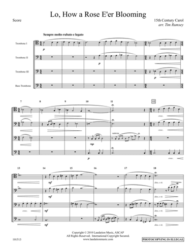 O How A Rose E'er Blooming (arr. Tim Rumsey)