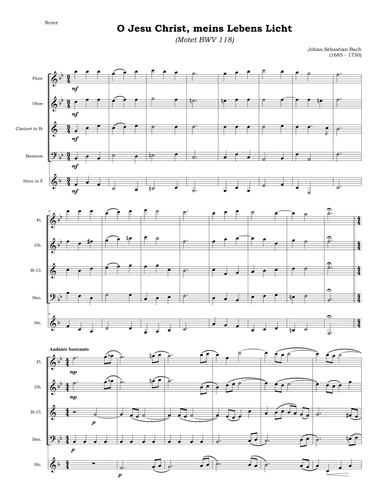 O Jesu Christ, meins Lebens Licht (Motet BWV 118) (arr. Isabel Oliveira Hill)