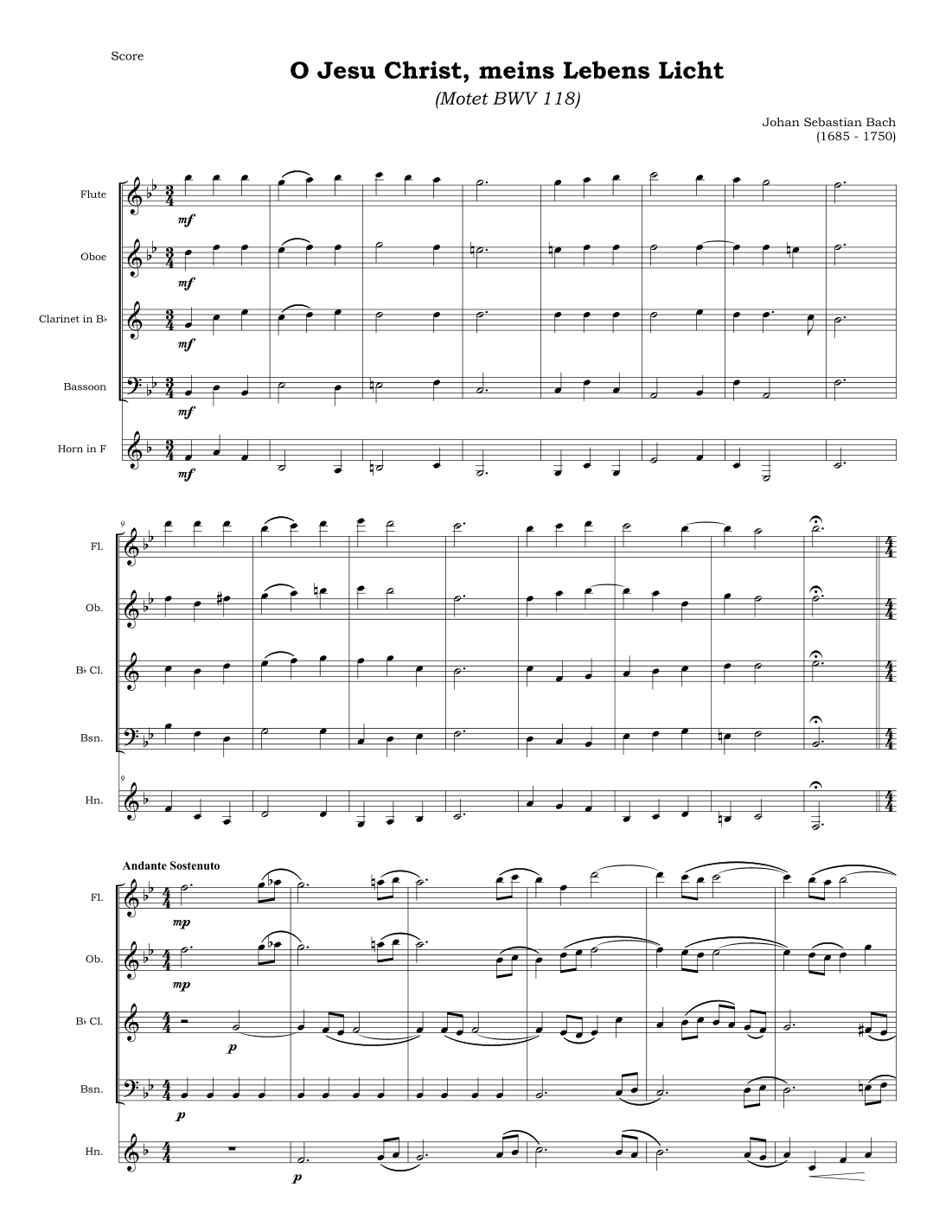 O Jesu Christ, meins Lebens Licht (Motet BWV 118) (arr. Isabel Oliveira Hill)