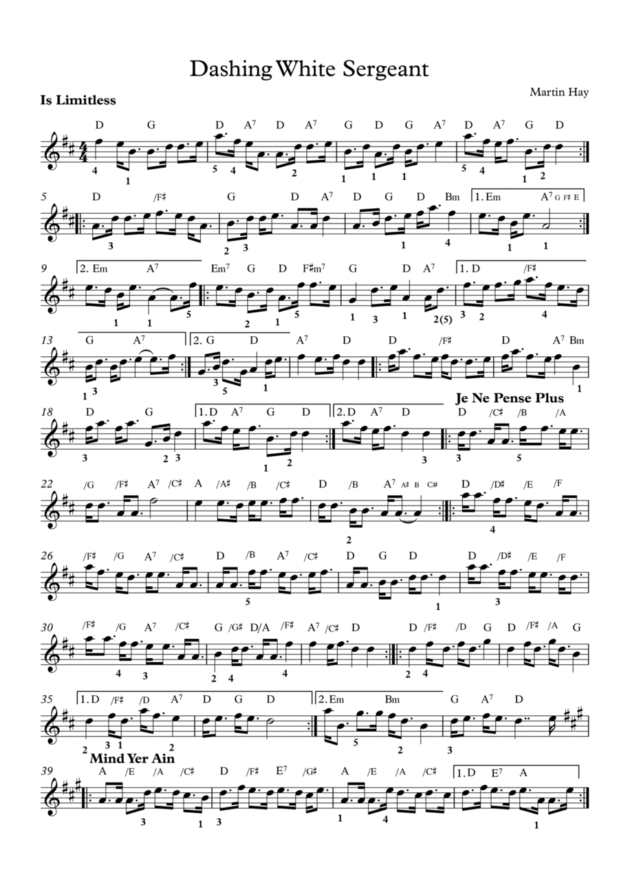 Ceilidh Music: Dashing White Sergeant - Is Limitless, Je Ne Pense Plus, Mind Yer Ain, Lose The Yoke