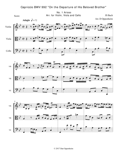 Bach: Capriccio BMV 992 "On the Departure of His Beloved Brother". No 1 Arioso. Arr. for String Trio (arr. D Oppenheim)