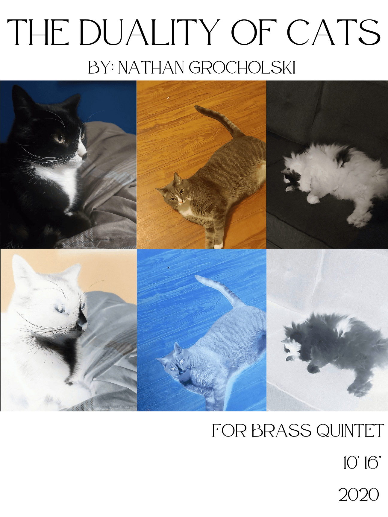 The Duality of Cats
