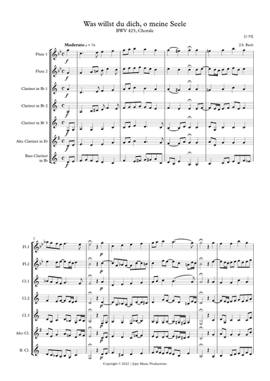 Was willst du dich, o meine Seele (arr. Jope)