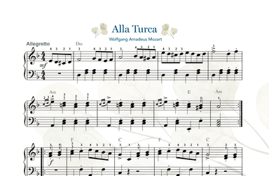 Alla Turca - Mozart's Piano Sonata No. 11 in A major, K. 331, Mvt III (arr. Gaili Schoen for TheMusicRemedy.com)
