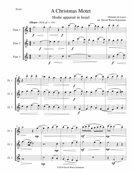Christmas Motet (Hodie apparuit in Israel) for 3 flutes (arr. David Warin Solomons)