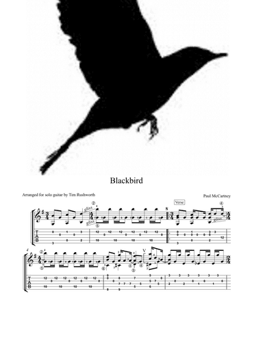 Blackbird (arr. Tim Rushworth)