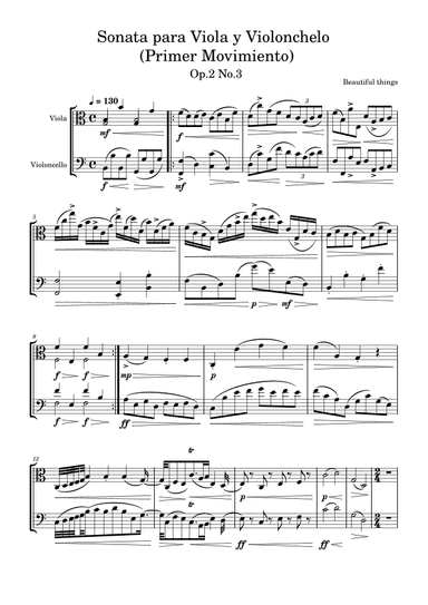 Sonata para Viola y Violonchelo(Primer Movimiento)-Beautiful things Op.2 No.3