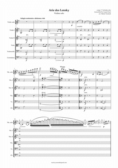 Lensky's aria (violin solo) from Eugene Onegin (arr. Mariia Yaremak, Leopold Auer)