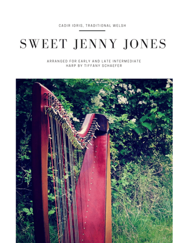 Sweet Jenny Jones: Early Intermediate (Small Harp) and Late Intermediate (Floor Harp) (arr. Tiffany Schaefer)