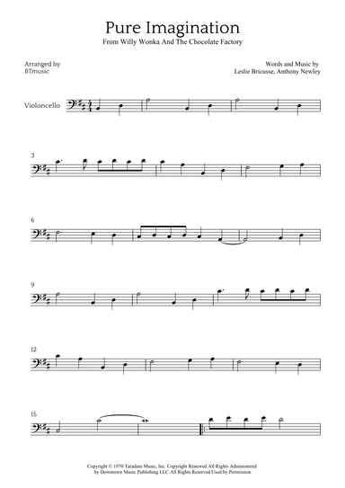 Pure Imagination (arr. BTmusic)