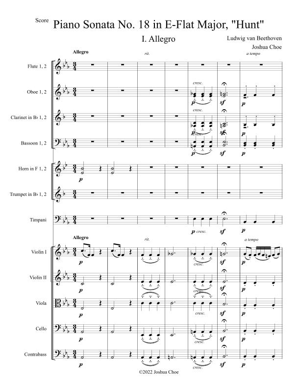 Hunt Sonata, Movement 1 (arr. Joshua Choe)
