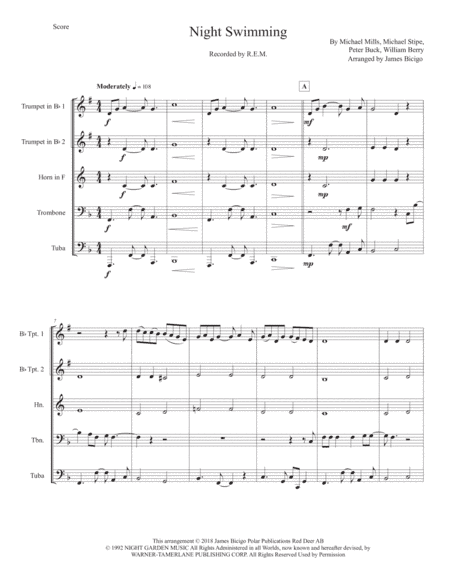 Nightswimming (arr. Jim Bicigo)