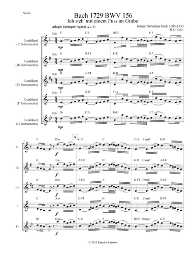 Bach 1729 BWV 156 Adagio Leadsheet Fakechart with Chords All Instruments (arr. R G Roth)