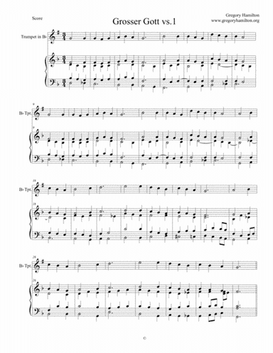 Holy God We Praise your Name - Grosser Gott - Alternate Harmonization for Organ - version 1. with op (arr. Gregory Hamilton)