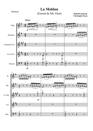 Smetana The Moldau - woodwind quintet (arr. Christophe Paym)