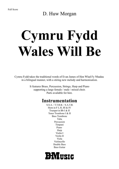 Cymru Fydd - SSA