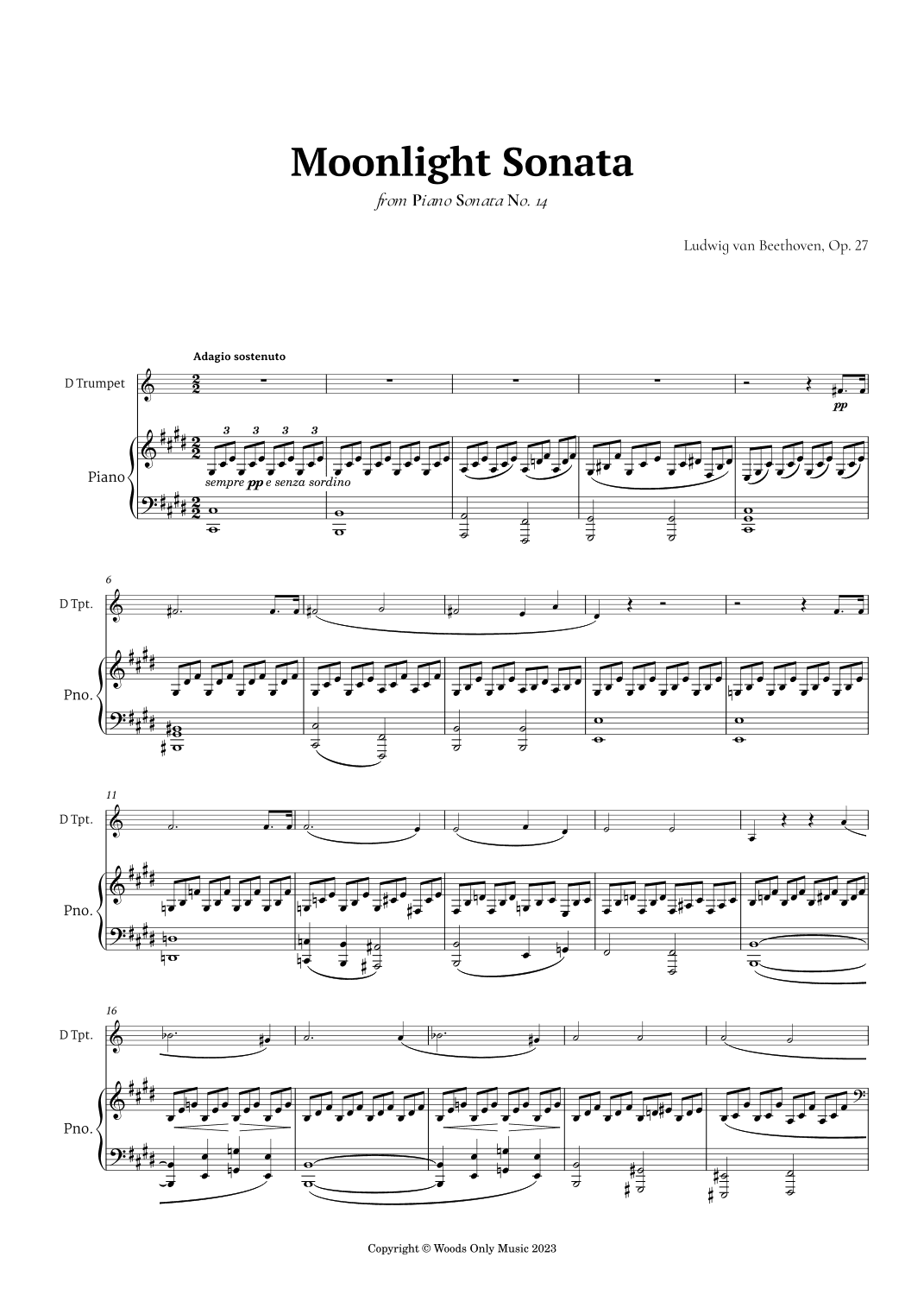 Moonlight Sonata by Beethoven for Trumpet in D and Piano (arr. Ander)