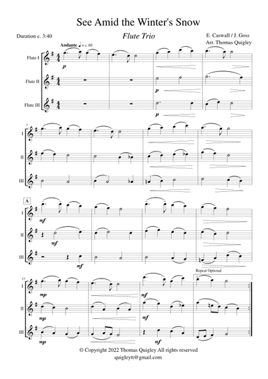 See Amid The Winter's Snow (Flute Trio) (arr. Thomas Quigley)
