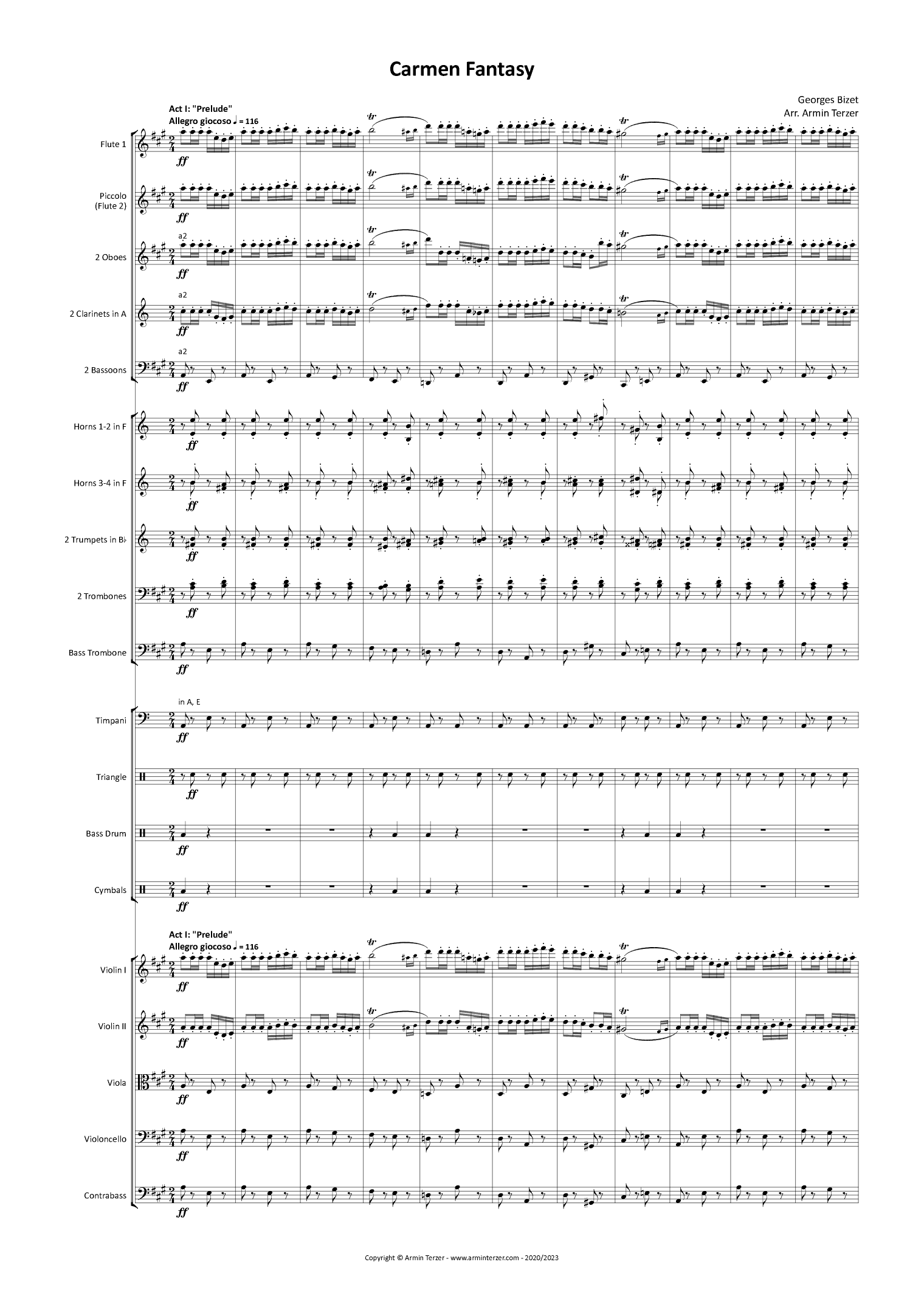 Carmen Fantasy (arr. Armin Terzer)