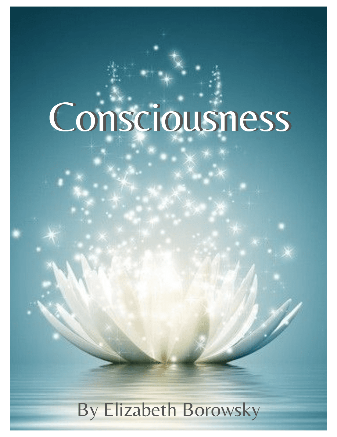 Consciousness