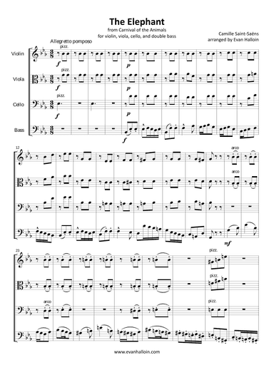 Saint-Saëns - The Elephant, for low string quartet (arr. Evan Halloin)