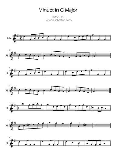 Bach Minuet in G major for Flute (arr. Ygor Nunes)