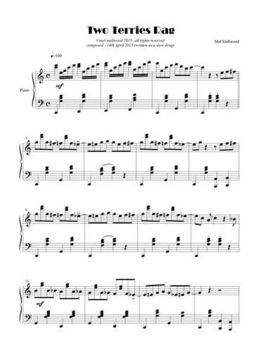 Two Terries Rag