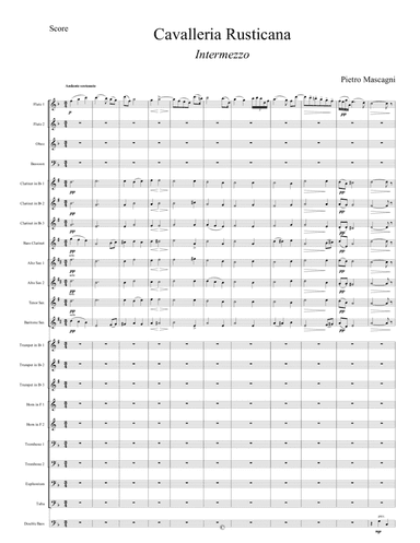 INTERMEZZO from Cavalleria Rusticana - WIND ORCHESTRA (arr. Matteo Dal Maso)