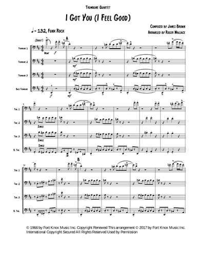 I Got You (i Feel Good) (arr. Roger Wallace)