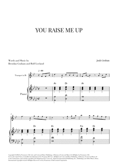 You Raise Me Up (arr. Cadenza Editions)