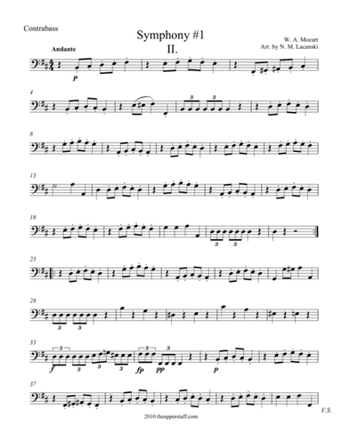 Symphony #1 Movement II. (arr. Nick Lacanski)