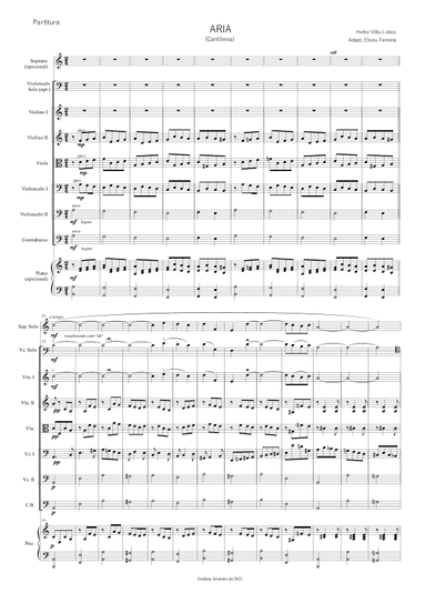 Aria of Bachianas n. 05 (arr. Eliseu Ferreira)