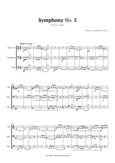 Symphony No. 5 by Beethoven for Low Brass Trio (arr. Ander)