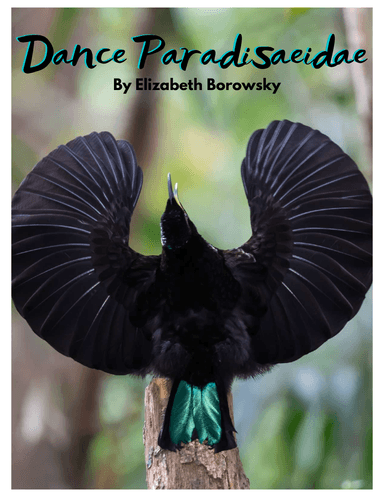 Dance Paradisaeidae