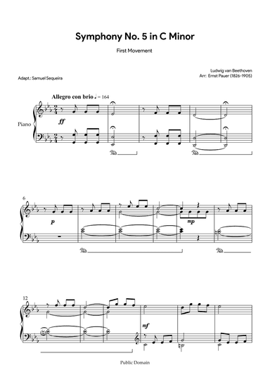 Beethoven's Symphony No.5 in C minor (1st movement) (arr. Samuel Sequeira)
