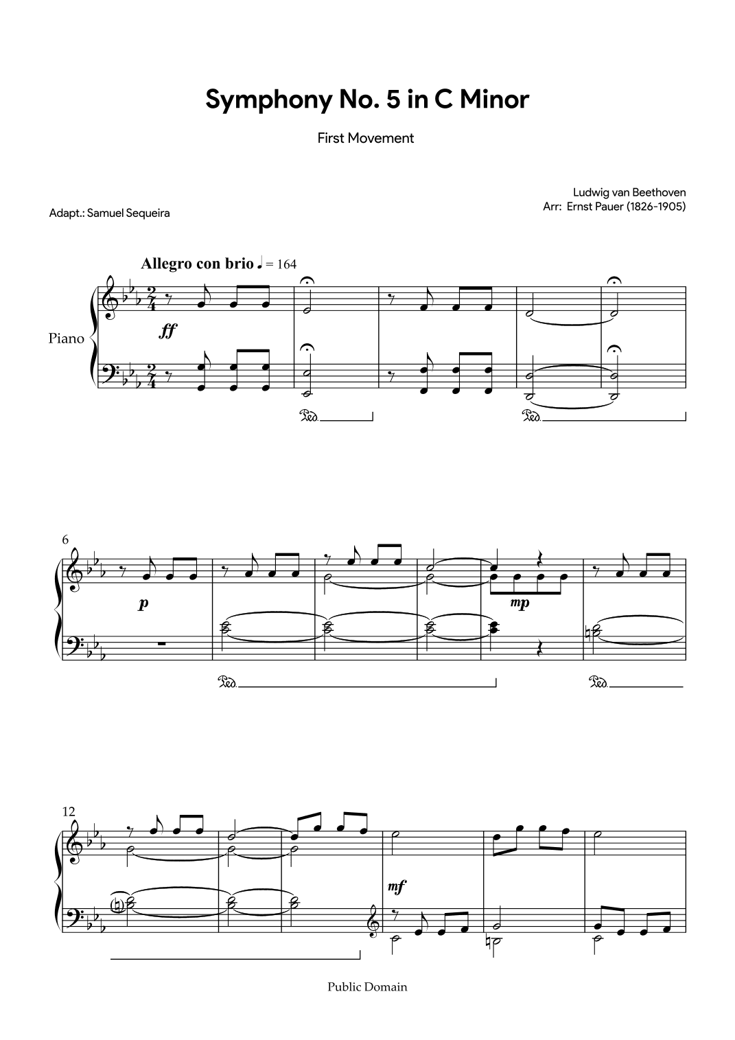 Beethoven's Symphony No.5 in C minor (1st movement) (arr. Samuel Sequeira)