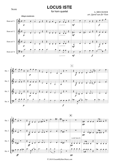 Locus Iste (arr. Sjoerd van der Veen)