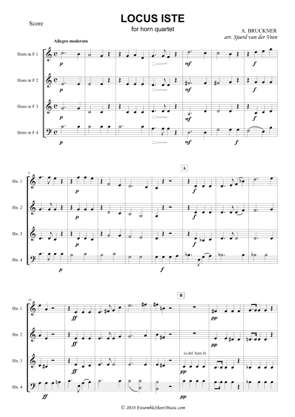 Locus Iste (arr. Sjoerd van der Veen)