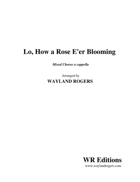 Lo, How a Rose E'er Blooming
